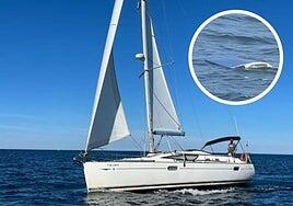 «Sentí pánico. Las orcas jugaban con el barco como si fuera una peonza»