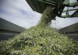 El campo y la alimentación se rebelan contra un acuerdo comercial que el Gobierno respalda «sin ningún entusiasmo»