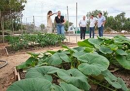 Quince jóvenes se forman en jardinería gracias al SCE y el Cabildo de Fuerteventura