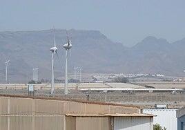 Primera ola de calor de agosto: el sur de Gran Canaria podría alcanzar este jueves los 38ºC