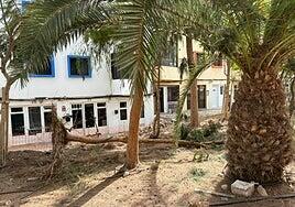 «¿Bajo qué sombra jugarán nuestros niños en Corralejo?»