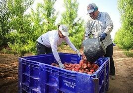 «Hay que preocuparse más por cómo viven y no por dónde rezan»