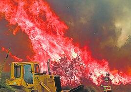 Europa se quema bajo su peor ola de calor