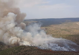 El incendio de Teresa de Cofrentes (Valencia) obliga a desalojar dos pedanías y a activar la UME