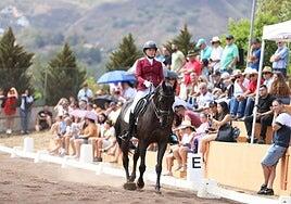 Santa Brígida celebra este fin de semana el Día del Caballo en Pino Santo Alto