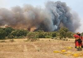 La ola de incendios cumple una semana y sitúa a Extremadura en situación «extrema»