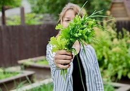 El perejil no es solo decoración