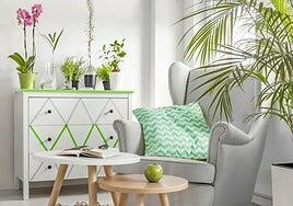 Así se cuidan las plantas para que no se mueran mientras estamos de vacaciones