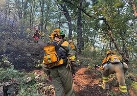Varios bomberos casi quedan atrapados en Jerte al actuar unos vecinos por su cuenta