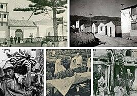 Costumbrismo en Canarias a finales del XIX (V)