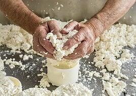 Queso cottage: el tesoro cremoso que cuida de ti