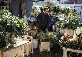 Los autónomos societarios marcan máximos y se afianzan como modelo de autoempleo