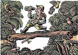 Ni la del cole, ni una de tela: así debe ser la mochila para el monte