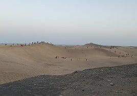 Refuerzan la vigilancia en las dunas de Maspalomas ante los visitantes que incumplen la prohibición