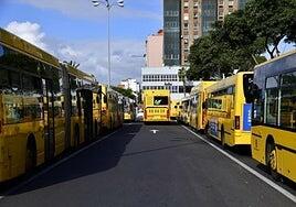 Valido (CC) asume que «no será fácil» prorrogar las guaguas gratis en 2026