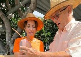 Onalia Bueno presume de los mangos de Mogán en TikTok: «Los mejores de Canarias»