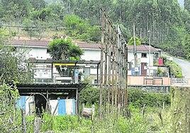 Sorprenden a un ladrón abusando sexualmente de un poni en Güeñes, Vizcaya