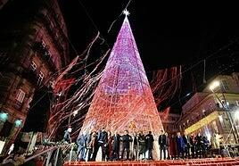 Arbolés, pinos gigantes y aparentes megalomanías