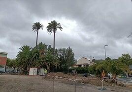 Iniciada la construcción de la rotonda de El Palmeral en Santa Brígida