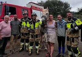 Rescatan a un caballo que cayó por un barranco de 15 metros en Tenerife