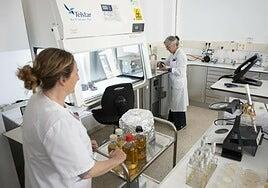 Investigan un brote de gastroenteritis con 46 afectados tras una boda en Escalante