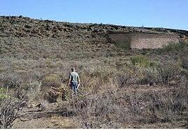 Un depósito regará la reforestación de los altos de Arguineguín