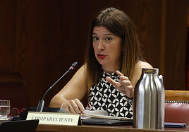 Leire Díez niega en el Senado trabajar para las «cloacas» de Ferraz: «No soy fontanera, soy periodista»