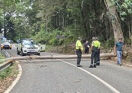 Otra protesta propalestina pone en jaque a La Vuelta y revienta la etapa