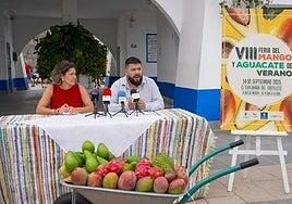 Mogán ofertará en la feria este domingo 4.000 kilos de mango