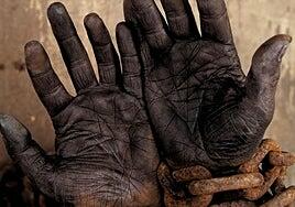 Unos 60.000 esclavos producen un carbón vegetal que se vende en España