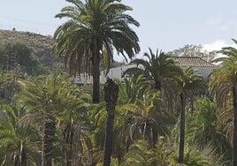 Todos los evacuados por el incendio en Santa Lucía ya han regresado a sus casas