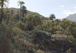 Controlado un conato de incendio en una casa cueva en Santa Lucía de Tirajana