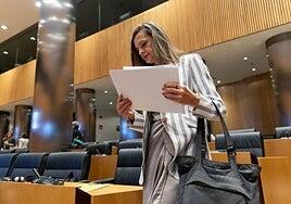 El Gobierno pide perdón a las víctimas por el fallo en las pulseras antimaltrato