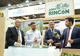 Canarias triplica en 2024 sus exportaciones de aguacate al mercado peninsular y europeo