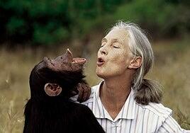 Muere la primatóloga Jane Goodall a los 91 años