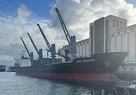 Atraca en el Puerto de Las Palmas un buque con 25.500 toneladas de maíz brasileño para consumo ganadero