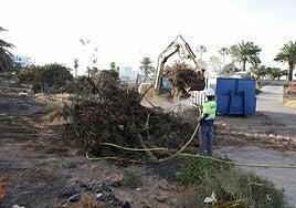 El Consejo de Aguas actúa para limpiar el barranco del Hurón
