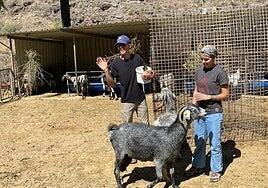 La Aldea de San Nicolás hace quesos excelentes y quiere que el mundo lo sepa
