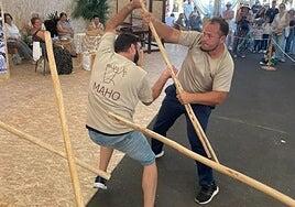 Tras el récord Guinness, carrera de relevos con palo canario a lo largo de Fuerteventura