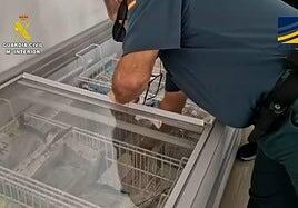 Operación Opson XIV: investigan a una empresa de Alicante por vender bananas como plátanos de Canarias