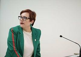 Canarias exige más medios al Estado para que los menores salgan en 15 días