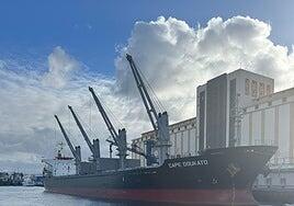 La industria y el sector primario canario alertan del riesgo de desabastecimiento de cereales