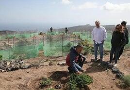 Premio a la restauración de las cumbres de Famara