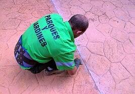 El juez del caso Valka pregunta al Ayuntamiento de Las Palmas de Gran Canaria por el préstamo que recibió el exjefe de Parques