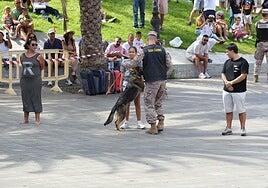 La Plaza de La Feria, puerto de la Armada