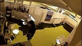 Detenido un hombre en Vecindario por varios robos y por maltrato animal: hallan aves encerradas en tuppers sin ventilación