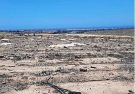 El mayor proyecto solar de Gran Canaria suma 37.721 paneles en cinco plantas