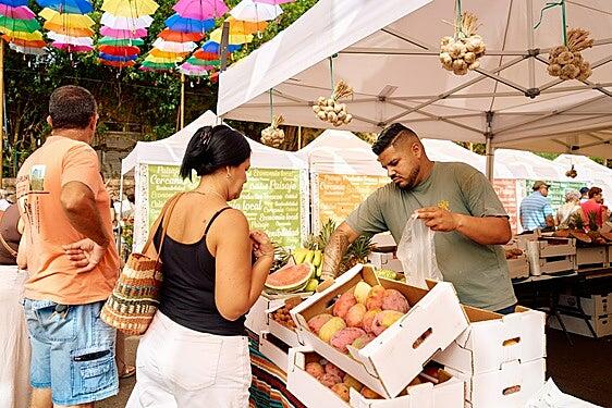 La Feria Km.0 Gran Canaria vuelve a Telde: horario, localización y productores