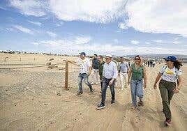 Licitada la regulación de accesos y tránsito en las dunas de Maspalomas