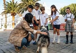 Cuidado animal en los colegios de Arrecife